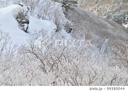 日本百名山「剣山」の冬景色 99380044