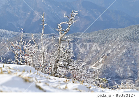 日本百名山「剣山」の冬景色 99380127