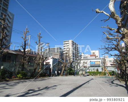 江東公園 江東公園 99380921