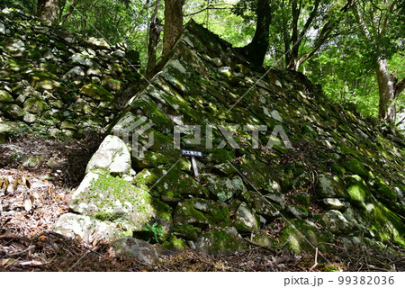 角牟礼城の穴太積石垣 角牟礼城の穴太積石垣 99382036