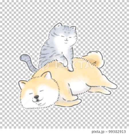 cat licking dog cat licking dog 99382913
