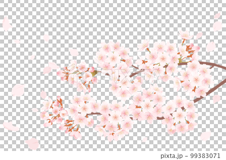 桜の花と舞い散る花びらのイラスト 桜の花と舞い散る花びらのイラスト 99383071