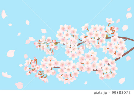 桜の花と青空に舞う花びらのイラスト 99383072