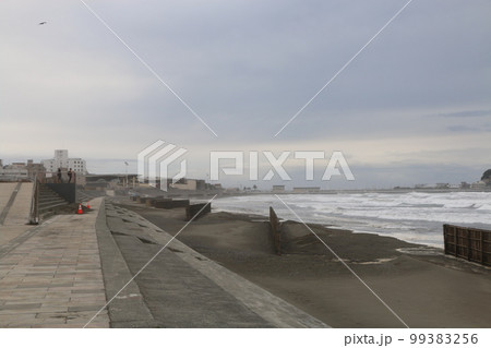 湘南海岸公園 99383256