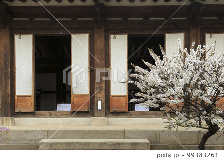 南山コル韓屋村 中区 ソウル 99383261