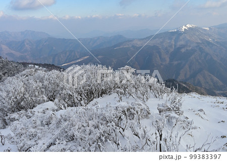 四国にある日本二百名山で四国百名山の三嶺（みうね）の冬景色の写真