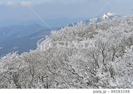四国にある日本二百名山で四国百名山の三嶺（みうね）の冬景色 99383398