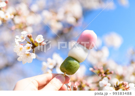 桜の季節のスナップ 桜の季節のスナップ 99383488