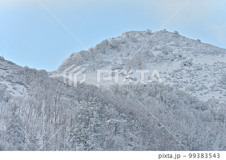 四国にある日本二百名山で四国百名山の三嶺（みうね）の冬景色 99383543