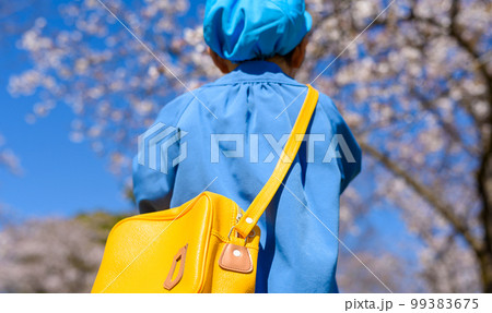 桜の季節のスナップ 99383675