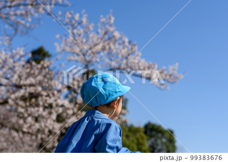 桜の季節のスナップ 99383676
