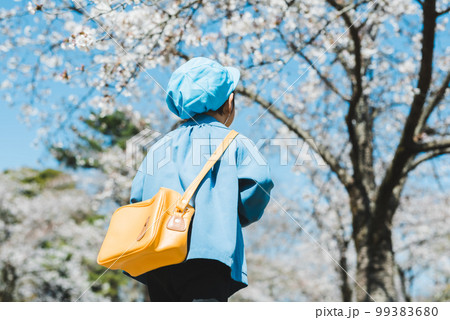 桜の季節のスナップ 99383680