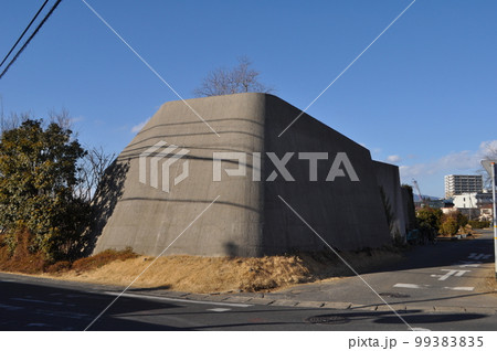 Cox/新関謙一郎 99383835