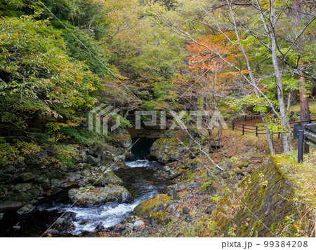 秋の川 99384208