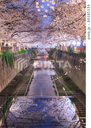 東京_目黒川の夜桜絶景風景 東京_目黒川の夜桜絶景風景 99385334