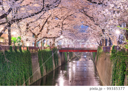 東京_目黒川の夜桜絶景風景 99385377