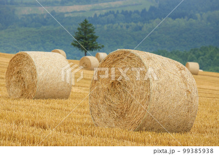 北海道_麦草ロールの転がる美瑛の風景 99385938