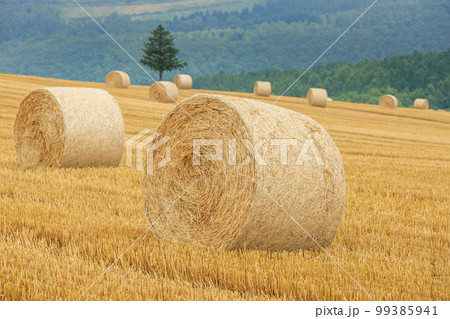 北海道_麦草ロールの転がる美瑛の風景 99385941