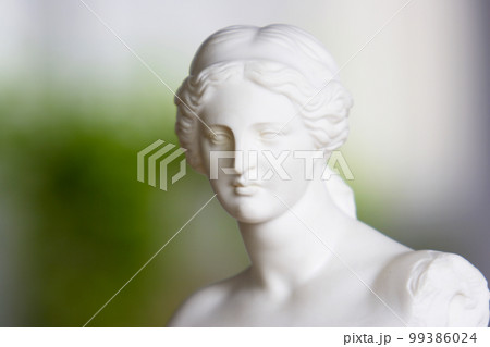 ミロのヴィーナスの石膏胸像 99386024