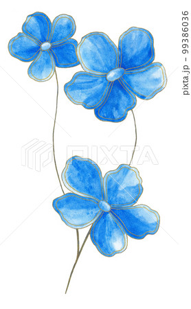 Isolated blue floral design elements. Three blue flowers with gold contour on white background. Isolated blue floral design elements. Three blue flowers with gold contour on white background. 99386036