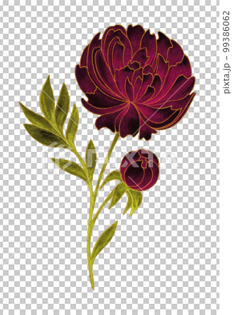 Isolated bright burgundy floral design elements. Peony flowers with green leaves with gold contour on white background. Isolated bright burgundy floral design elements. Peony flowers with green leaves with gold contour on white background. 99386062