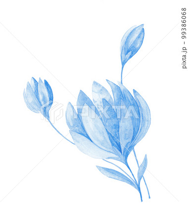 Isolated softness blue floral design elements. Abstract blue flowers on white background.  99386068