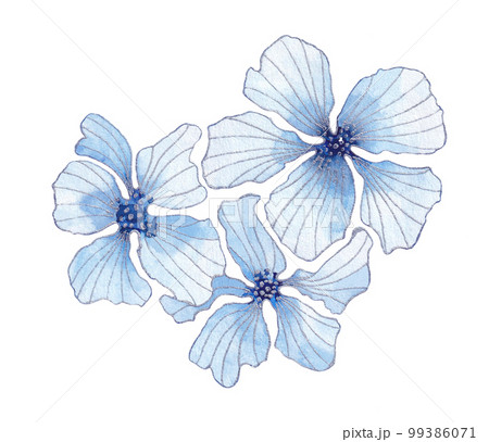 Isolated softness floral set. Blue watercolor flowers with silver contours on white background. Isolated softness floral set. Blue watercolor flowers with silver contours on white background. 99386071
