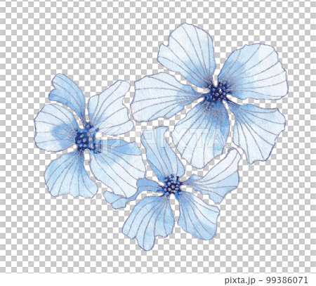 Isolated softness floral set. Blue watercolor flowers with silver contours on white background. Isolated softness floral set. Blue watercolor flowers with silver contours on white background. 99386071