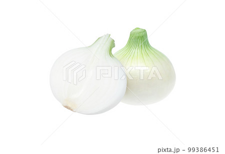 新玉ねぎのイラスト リアル 99386451