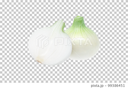 新玉ねぎのイラスト リアル 99386451