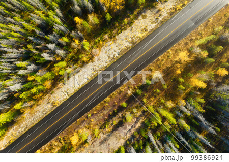 A drone view of a road in the middle of a forest. A straight road among the trees. A drone view of a road in the middle of a forest. A straight road among the trees. 99386924