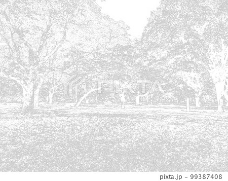 公園の樹木。イラスト風の写真。モノクロ。 99387408