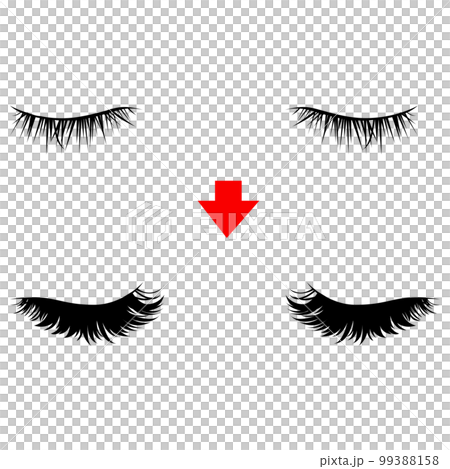 目元　眉毛のつける前とつけた後のイラスト　エクステンション　つけまつげのベクター 99388158