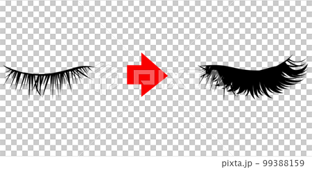 目元　眉毛のつける前とつけた後のイラスト　エクステンション　つけまつげのベクター 99388159
