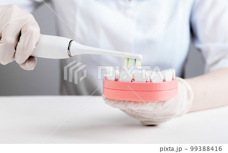 Dentist using electric toothbrush for brushing teeth in jaw model. Cavity, gingivitis and periodontal disease prevention. Stomatology, oral hygiene concept. 99388416