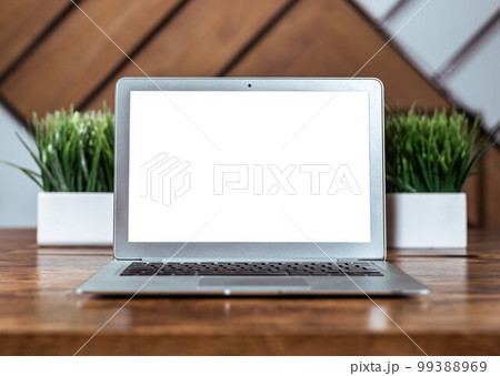 Laptop screen mockup, white display mock up on wood office desk, table with green plants Laptop screen mockup, white display mock up on wood office desk, table with green plants 99388969