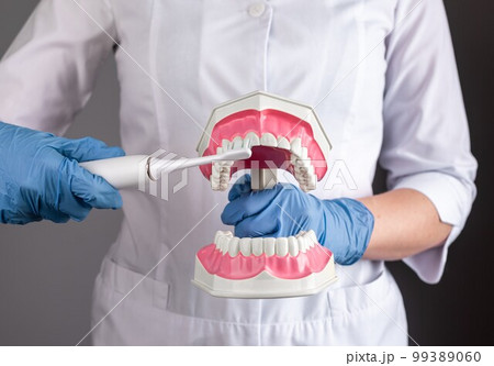 Dentist brushing teeth jaw model with electric toothbrush, closeup. Dental oral hygiene concept Dentist brushing teeth jaw model with electric toothbrush, closeup. Dental oral hygiene concept 99389060