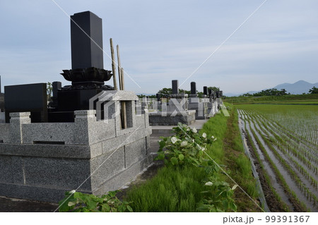 水田の中にある墓地 99391367