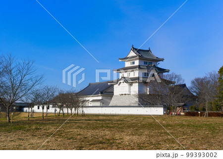 千葉県野田市関宿城周辺の風景2023年2月 千葉県野田市関宿城周辺の風景2023年2月 99393002