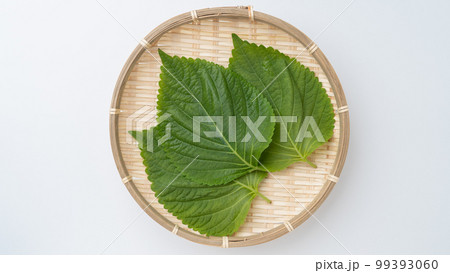 エゴマの葉 99393060