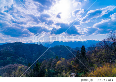 【桜素材】山桜の郷・桜仙峡【長野県】 99393383