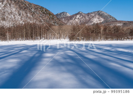 雪山と牧場 雪山と牧場 99395186
