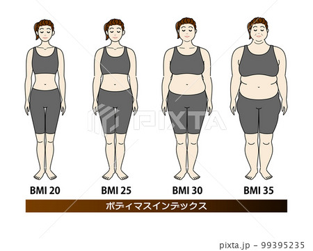 ボディマスインデックス 若い女性の体形変化 ダイエットのビフォーアフター 正面 イラスト ベクター ボディマスインデックス 若い女性の体形変化 ダイエットのビフォーアフター 正面 イラスト ベクター 99395235