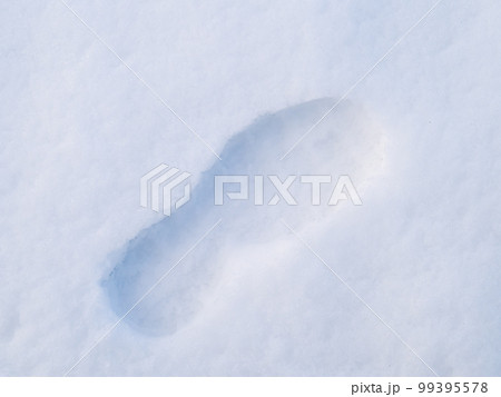 雪の上の足跡。 雪の上の足跡。 99395578