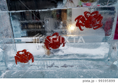 札幌雪祭りすすきの会場毛ガニの氷像 札幌雪祭りすすきの会場毛ガニの氷像 99395899
