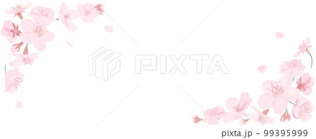水彩風の桜の花と花びらのフレーム 白背景 水彩風の桜の花と花びらのフレーム 白背景 99395999