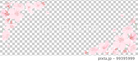 Frame of watercolor-style cherry blossoms and petals White background 99395999