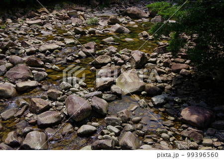 魚飛渓　三重県　日本有数の透明度　銚子川上流　清流　川遊び場 99396560