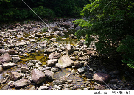 魚飛渓　三重県　日本有数の透明度　銚子川上流　清流　川遊び場 99396561
