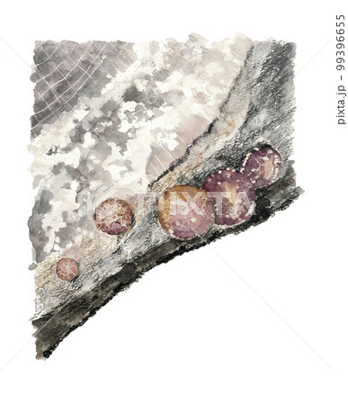 椎茸の原木栽培 ほだ木と椎茸【手描き水彩画】白バック コピースペース 99396655